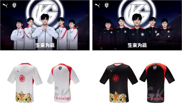 的职业生涯 的职业生涯