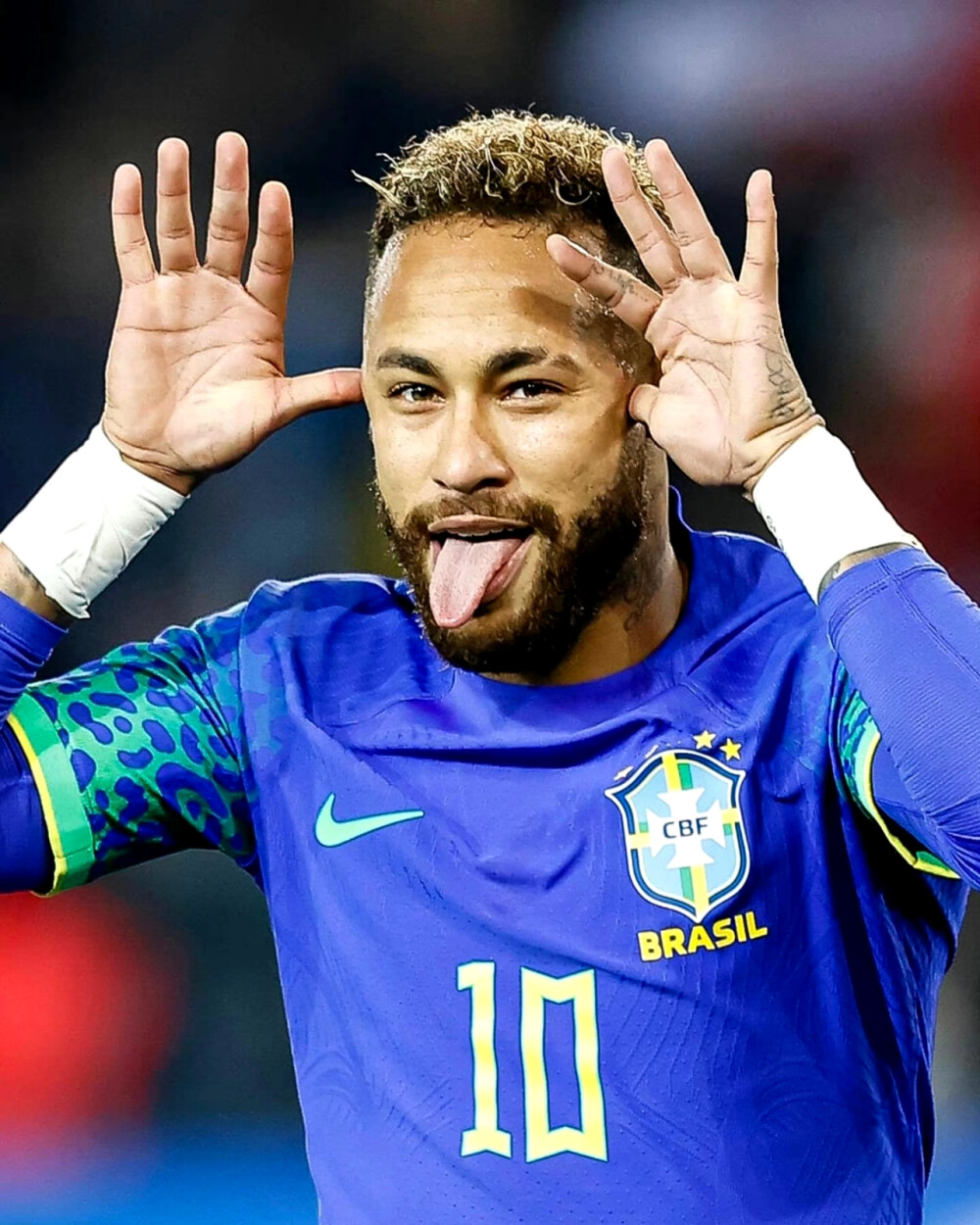 这些都在本 这些都在本